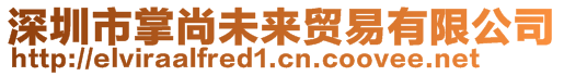 深圳市掌尚未來貿(mào)易有限公司