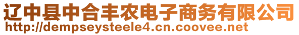 遼中縣中合豐農(nóng)電子商務(wù)有限公司