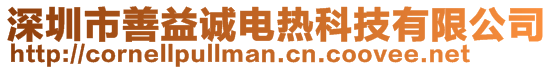 深圳市善益誠電熱科技有限公司