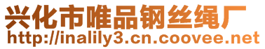 興化市唯品鋼絲繩廠