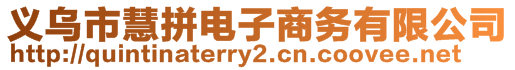 義烏市慧拼電子商務(wù)有限公司