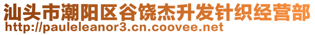 汕頭市潮陽區(qū)谷饒杰升發(fā)針織經(jīng)營部