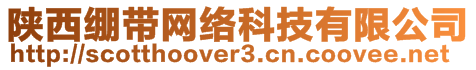 陜西繃帶網(wǎng)絡(luò)科技有限公司