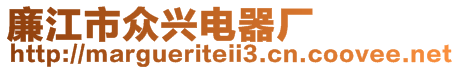 廉江市眾興電器廠