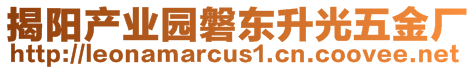 揭陽產業(yè)園磐東升光五金廠