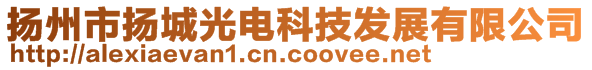 揚州市揚城光電科技發展有限公司
