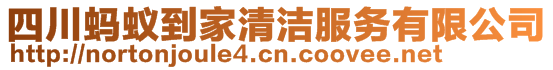 四川螞蟻到家清潔服務有限公司