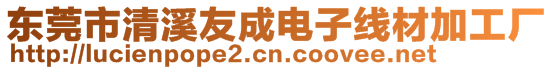 東莞市清溪友成電子線材加工廠