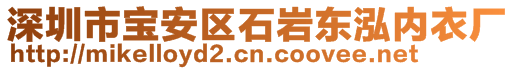 深圳市寶安區(qū)石巖東泓內(nèi)衣廠