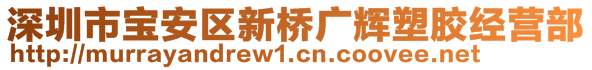 深圳市寶安區(qū)新橋廣輝塑膠經(jīng)營部