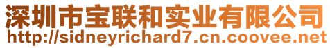 深圳市寶聯(lián)和實(shí)業(yè)有限公司