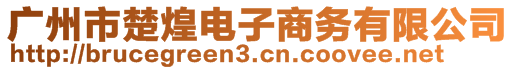 廣州市楚煌電子商務有限公司