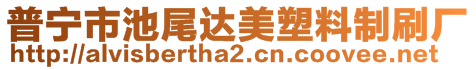 普寧市池尾達美塑料制刷廠