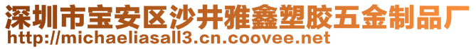 深圳市寶安區(qū)沙井雅鑫塑膠五金制品廠