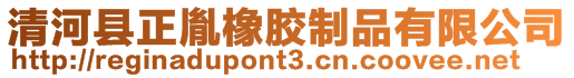 清河縣正胤橡膠制品有限公司