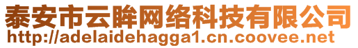 泰安市云眸網(wǎng)絡(luò)科技有限公司