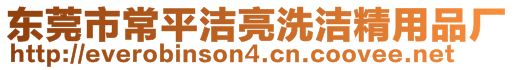 東莞市常平潔亮洗潔精用品廠