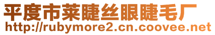 平度市萊睫絲眼睫毛廠