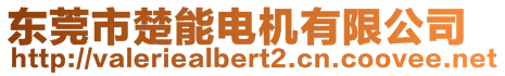 東莞市楚能電機有限公司