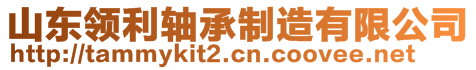 山東領(lǐng)利軸承制造有限公司