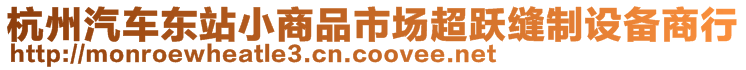 杭州汽車東站小商品市場超躍縫制設備商行