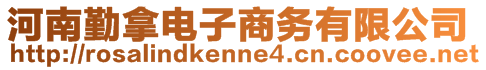 河南勤拿電子商務(wù)有限公司