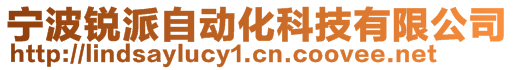 寧波銳派自動化科技有限公司