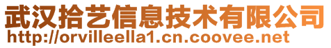 武漢拾藝信息技術(shù)有限公司