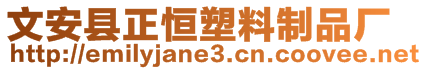 文安縣正恒塑料制品廠