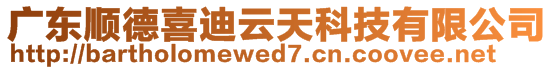 廣東順德喜迪云天科技有限公司