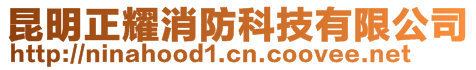 昆明正耀消防科技有限公司