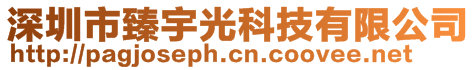 深圳市臻宇光科技有限公司