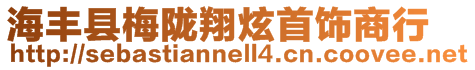 海豐縣梅隴翔炫首飾商行