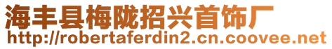 海豐縣梅隴招興首飾廠