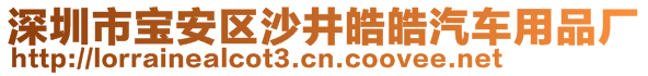 深圳市寶安區(qū)沙井皓皓汽車用品廠