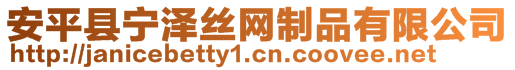 安平縣寧澤絲網(wǎng)制品有限公司