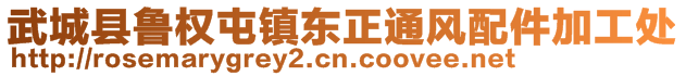 武城縣魯權(quán)屯鎮(zhèn)東正通風(fēng)配件加工處