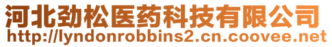 河北勁松醫(yī)藥科技有限公司