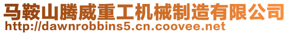 馬鞍山騰威重工機(jī)械制造有限公司