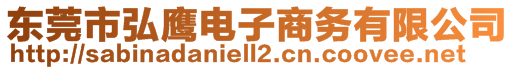 東莞市弘鷹電子商務(wù)有限公司