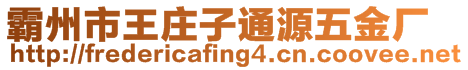 霸州市王莊子通源五金廠