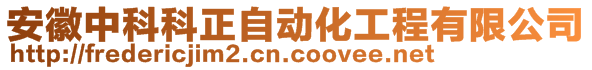 安徽中科科正自動化工程有限公司