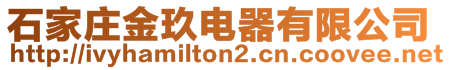 石家莊金玖電器有限公司