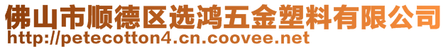 佛山市順德區選鴻五金塑料有限公司
