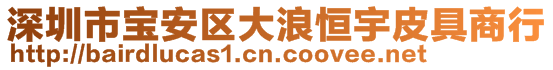 深圳市寶安區(qū)大浪恒宇皮具商行