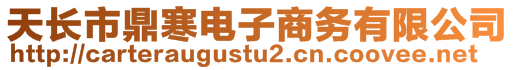 天长市鼎寒电子商务有限公司