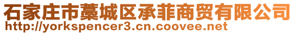 石家庄市藁城区承菲商贸有限公司