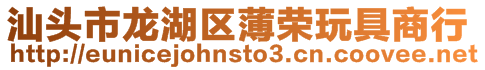 汕頭市龍湖區薄榮玩具商行