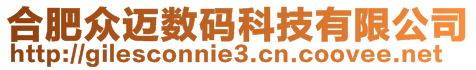 合肥眾邁數(shù)碼科技有限公司