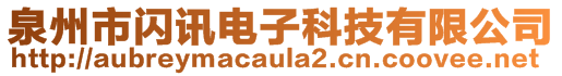 泉州市閃訊電子科技有限公司